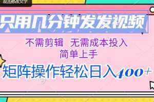 （12159期）只用几分钟发发视频，不需剪辑，无需成本投入，简单上手，矩阵操作轻松&#8230;
