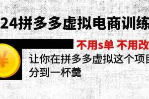 （12024期）2024拼多多虚拟电商训练营 不s单 不改销量  做虚拟项目分一杯羹(更新10节)