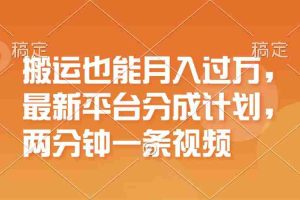 （11874期）搬运也能月入过万，最新平台分成计划，一万播放一百米，一分钟一个作品