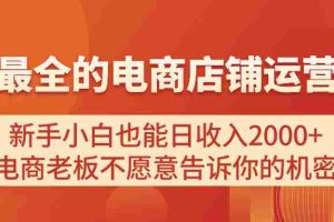 （11266期）电商店铺运营教学，新手小白也能日收入2000+，电商老板不愿意告诉你的机密