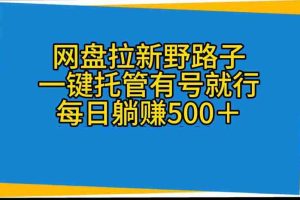 （10468期）网盘拉新野路子，一键托管有号就行，全自动代发视频，每日躺赚500＋