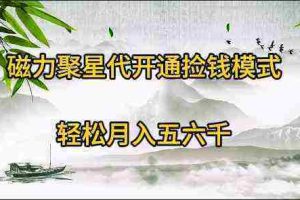 （9667期）磁力聚星代开通捡钱模式，轻松月入五六千