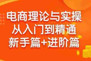 （9576期）电商理论与实操从入门到精通 新手篇+进阶篇