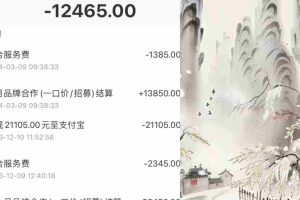 （9476期）小红书新赛道，商单接到手软，涨粉迅速，月入1w+