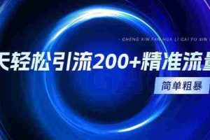 （9359期）一天轻松引流200+精准流量，简单粗暴，一看就会