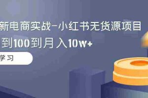 （9169期）2024全新电商实战-小红书无货源项目：从0到1到100到月入10w+