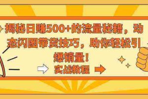 （9058期）揭秘日赚500+的流量秘籍，动态闪图带货技巧，助你轻松引爆销量！