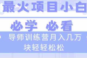 （8569期）导师训练营互联网最牛逼的项目没有之一，新手小白必学，月入2万+轻轻松松