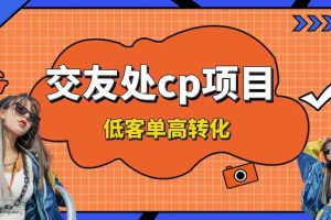 （8478期）交友搭子付费进群项目，低客单高转化率，长久稳定，单号日入200+