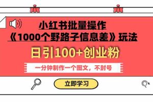 （7676期）小红书批量操作《1000个野路子信息差》玩法 日引100+创业粉 一分钟一个图文