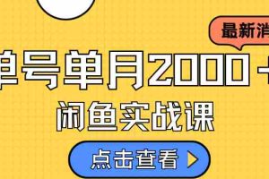 （7328期）咸鱼虚拟资料新模式，月入2w＋，可批量复制，单号一天50-60没问题 多号多撸