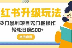 （8014期）小红书升级玩法，冷门暴利项目无门槛操作，轻松日赚500+
