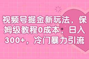 （6802期）视频号掘金新玩法，保姆级教程0成本，日入300+，冷门暴力引流