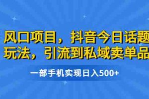 （6588期）风口项目，抖音今日话题玩法，引流到私域卖单品，一部手机实现日入500+