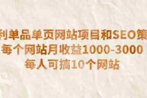 （6503期）暴利单品单页网站项目和SEO策略  每个网站月收益1000-3000  每人可搞10个