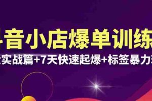 （6348期）抖音小店爆单训练营VIP线下课：6大实战篇+7天快速起爆+标签暴力玩法(32节)