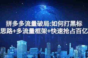 （2768期）拼多多流量破局:如何打黑标，爆款思路+多流量框架+快速抢占百亿流量