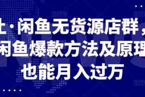 （2568期）闲鱼无货源店群，掌握闲鱼爆款方法快速出单，轻松月入10000+