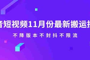 （2141期）抖音短视频11月份最新搬运技术，不降版本不封抖不限流！【视频课程】