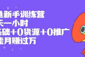 （1994期）闲鱼新手训练营，每天一小时，0基础+0货源+0推广 也能月赚过万