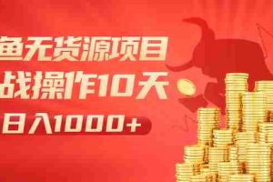 （1973期）闲鱼无货源项目：实战操作10天做到日入1000+新手老手也可以做！