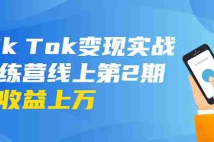 （1701期）龟课·Tik Tok变现实战训练营线上第2期：日入上百+美刀 月收益上万不成问题