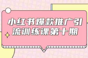 （1693期）小红书爆款推广引流训练课第十期，手把手带你玩转小红书，轻松月入过万