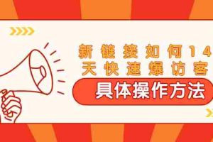 （1669期）进阶战术课：新链接如何14天快速爆访客：具体操作方法（视频教程）