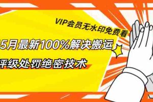 （1331期）抖音5月最新100%解决搬运评级处罚绝密技术（价值7280泄密）无水印