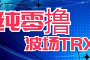 (6265期)最新国外零撸波场项目 类似空投,目前单窗口一天可撸10-15+【详细玩法教程】