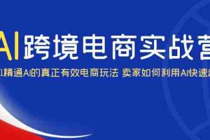 （6101期）AI·跨境电商实操营：0-1精通Al的真正有效电商玩法 卖家如何利用Al快速超车