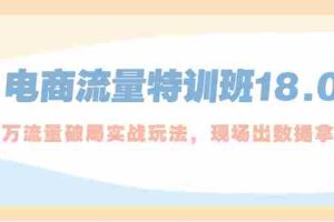 （5232期）电商流量特训班18.0，直引万流量破局实操玩法，现场出数据拿结果