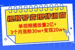 （4455期）20天视频号变现特训营：单视频播放量2亿+3个月涨粉30w+变现20w+