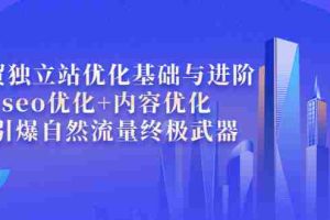 (3682期)外贸独立站优化基础与进阶,seo优化+内容优化+引爆自然流量终极武器