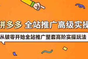 （3605期）拼多多全站推广高级实操：从破零开始全站推广整套高阶实操玩法