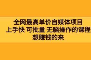 （3557期）全网最单高价自媒体项目：上手快 可批量 无脑操作的课程，想赚钱的来