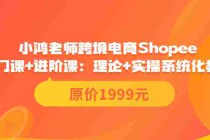 （3482期）跨境电商Shopee入门课+进阶课：理论+实操系统化教学（原价1999）