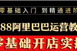 （3349期）阿里巴巴1688运营推广教程新手开店诚信通装修培训视频