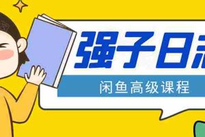 （1562期）闲鱼高级课程：单号一个月一万左右 有基础的，批量玩的5万-10万都不是难事