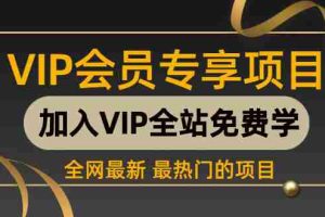 （943期）自媒体vip培训班：教你玩转自媒体赚钱 月入数万