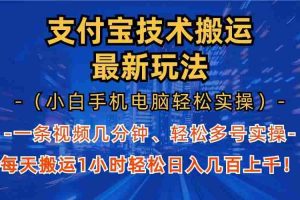 （13203期）支付宝分成技术搬运“最新玩法”（小白手机电脑轻松实操1小时） 轻松日…