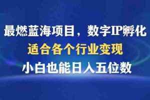 （12941期）最燃蓝海项目  数字IP孵化  适合各个行业变现  小白也能日入5位数