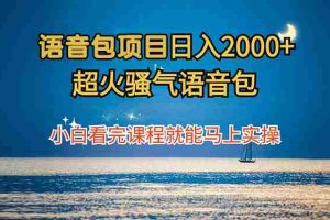 （12734期）语音包项目 日入2000+ 超火骚气语音包小白看完课程就能马上实操