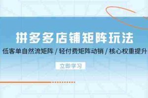 （12720期）拼多多店铺矩阵玩法：低客单自然流矩阵 / 轻付费矩阵 动销 / 核心权重提升
