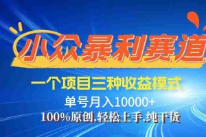 （12579期）【老人言】-视频号爆火赛道，三种变现方式，0粉新号调调爆款