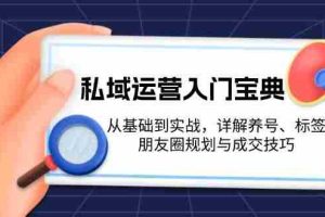 （13519期）私域运营入门宝典：从基础到实战，详解养号、标签、朋友圈规划与成交技巧