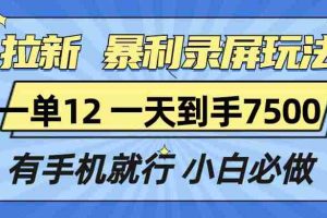 （13836期）拉新暴利录屏玩法，一单12块，一天到手7500，有手机就行