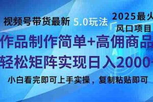 （14191期）视频号带货最新5.0玩法，作品制作简单，当天起号，复制粘贴，轻松矩阵…