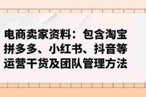 （14354期）电商卖家资料：包含淘宝、拼多多、小红书、抖音等运营干货及团队管理方法
