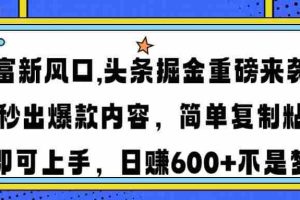 （14434期）财富新风口,头条掘金重磅来袭AI秒出爆款内容简单复制粘贴即可上手，日…